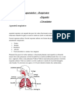 Aparatul Respirator