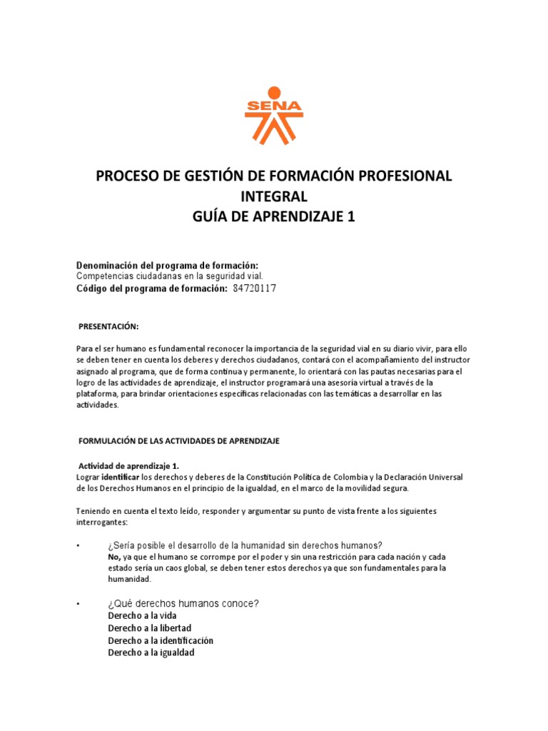 Formación en Seguridad Vial y Derechos Humanos | PDF | Derechos humanos ...