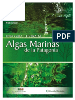 Algas Marinas de La Patagonia