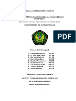 Makalah Skizofrenia Lansia Kelompok 2