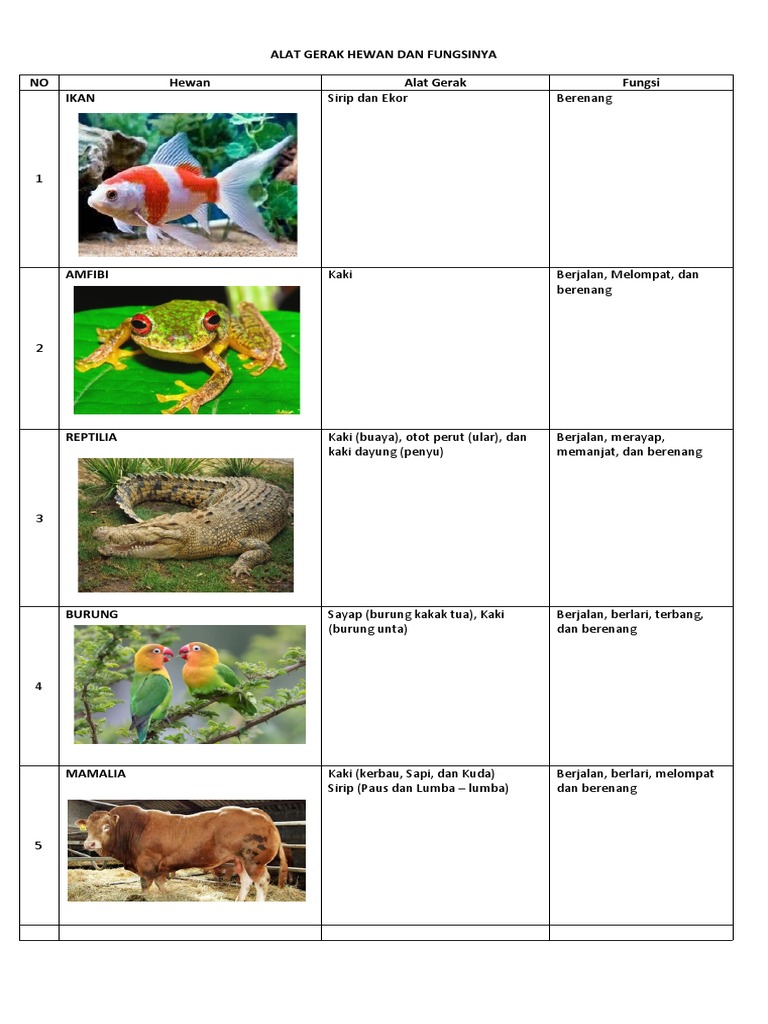 Alat Gerak Hewan dan Fungsinya | PDF