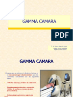 Gamma Cámara: componentes y funcionamiento