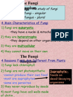 4 Key Characteristics of Fungi