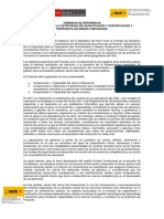 TDR - Diagnóstico y Modelo de Capacitación y Certificación