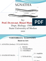 Agnatha: By: Dept. Biology - FMIPA State University of Medan 2021