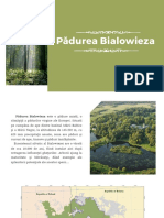 Pădurea Bialowieza