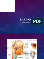 ANATOMIA, FIZIOLOGIA, FIZIOPATOLOGIA LARINGELUI Nou