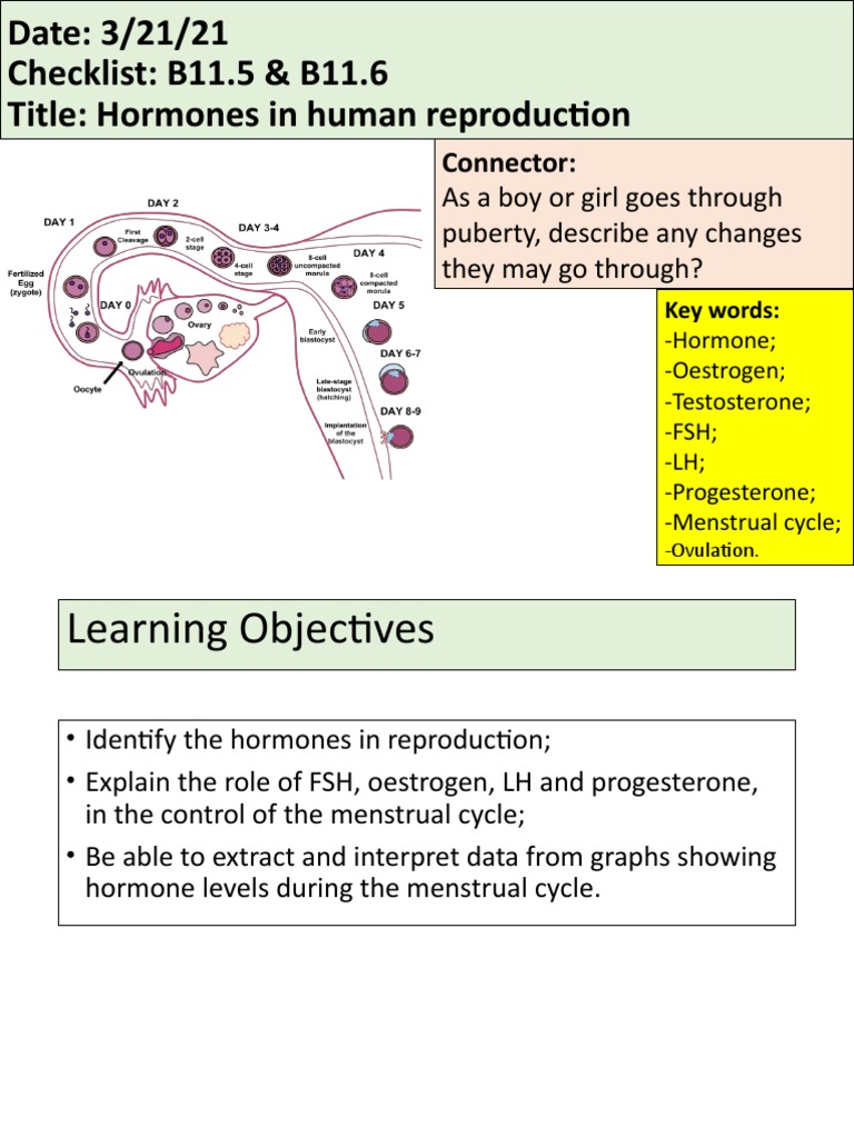Hormones in Human Reproduction | PDF | Luteinizing Hormone | Menstrual ...