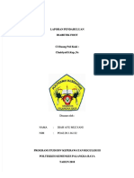 PDF Laporan Pendahuluan Diabetik Foot DD