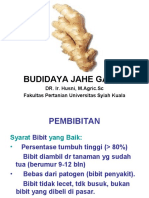 pelatihan jahe