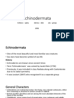 Echinodermata Classification N Characters