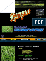 Rumput (3,4)