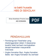 Phbs Di Sekolah Pramuka