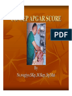 Consep Apgar Score