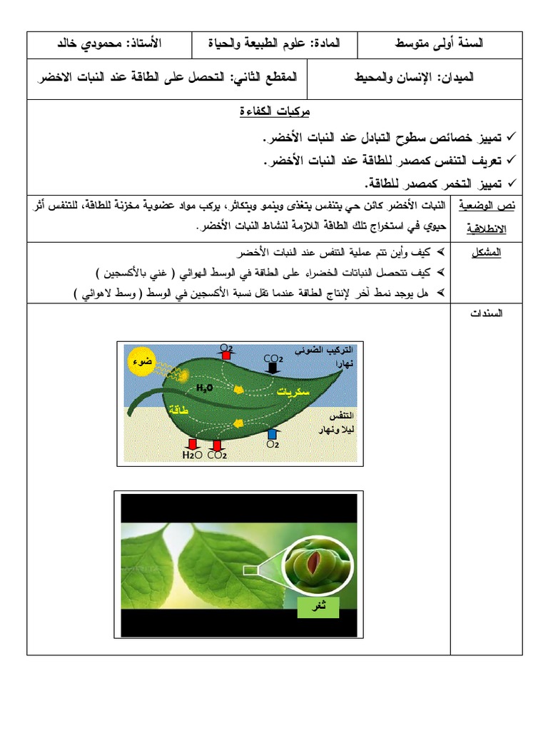 9 التحصل على الطاقة عند النبات الأخضر