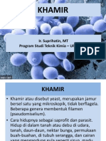 Pertemuan V - Khamir