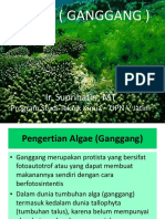 Pertemuan Vi - Algae (Ganggang)