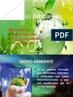 Medio Ambienté UBV