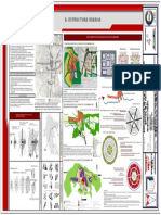 1 Estructura Urbana