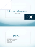 Pregnancy Infection Guide: TORCH Pathogens