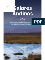 Libro Salares Andinos