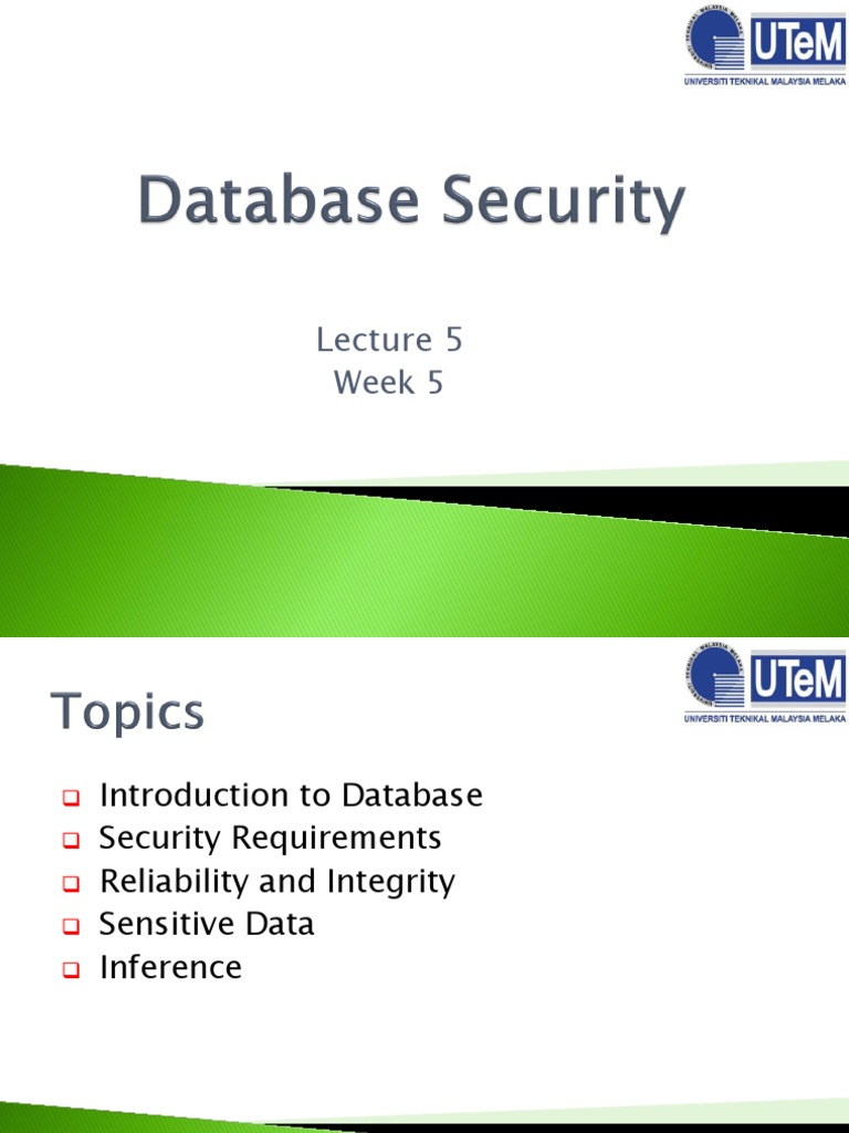 research paper on database security pdf