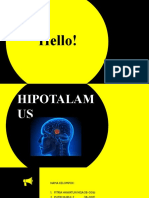 Kelompok 2 Hipotalamus