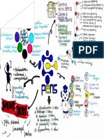 Tuugasmindmap PDF