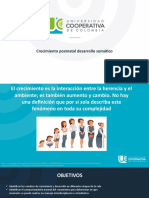 Plantilla Presentacion Institucional (EDITABLE)