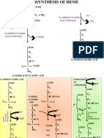 Δ-Aminolevulinic Acid Synthase: Cooh CH CH C O Scoa + CH NH Cooh Succinyl Coash Glycine