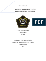SGD9 - Putri Eka Pradani - 31102000062 - Histologi