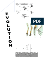 Completed Evolution Packet 2017-2018