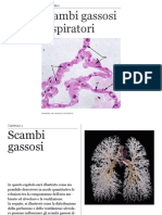 Dispensa Scambi Gassosi