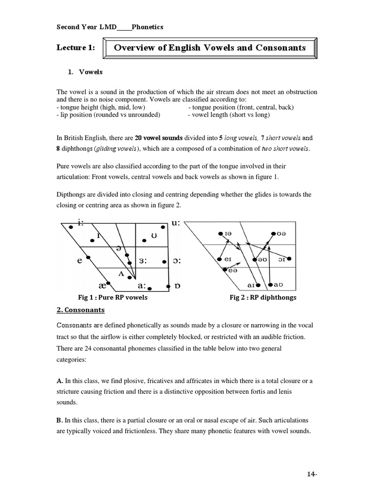English Vowels and Consonants Guide | PDF | Vowel | Consonant