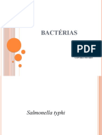 seminario-Bactérias