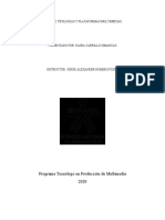 Informe Tipologias y Plataformas Multimedias