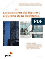 Informe Temas Candentes Auditoria