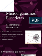 Presentacion Reproduccion en Bacterias