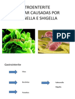 Gastroenterite Alimentar Causadas Por Salmonella e Shigella