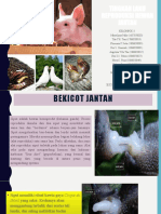 TINGKAH LAKU REPRODUKSI HEWAN JANTAN