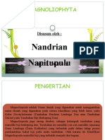 Tugas BTT 03 Oleh Nandrian Napitupulu (1984205015)