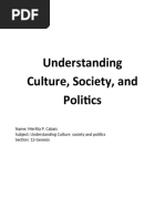 Understanding Culture, Society, and Politics