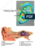 Fisiologi Pendengaran