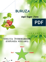 Buburuza de Eugen Jianu