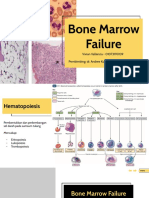 Bone Marrow Failure-2