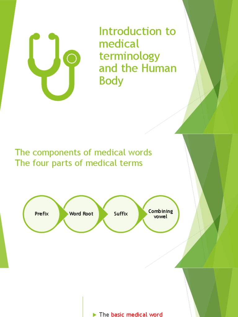 Medical Terminology Basics | PDF | Anatomical Terms Of Location | Anatomy