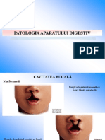 LP3 - AP - S2 - MD - Patologie Aparat Digestiv