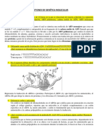 Cuestiones de Genética Molecular (Resuelto)