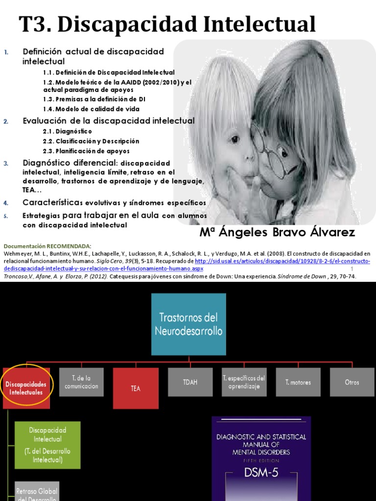 Definición y Evaluación de Discapacidad Intelectual | PDF ...