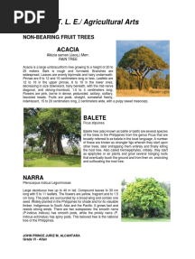 Non Bearing Fruit Trees